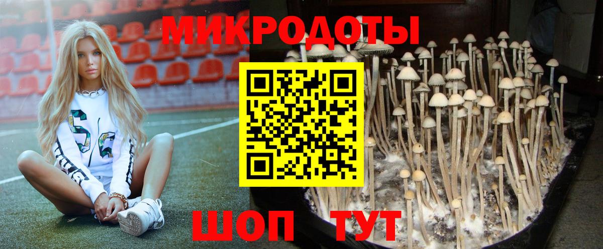 Псилоцибиновые грибы Cubensis  где найти   Миллерово  Вход с VPN 